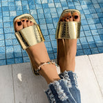 "The Crocodile" Slides