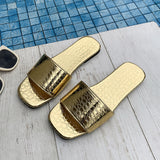 "The Crocodile" Slides