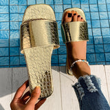 "The Crocodile" Slides
